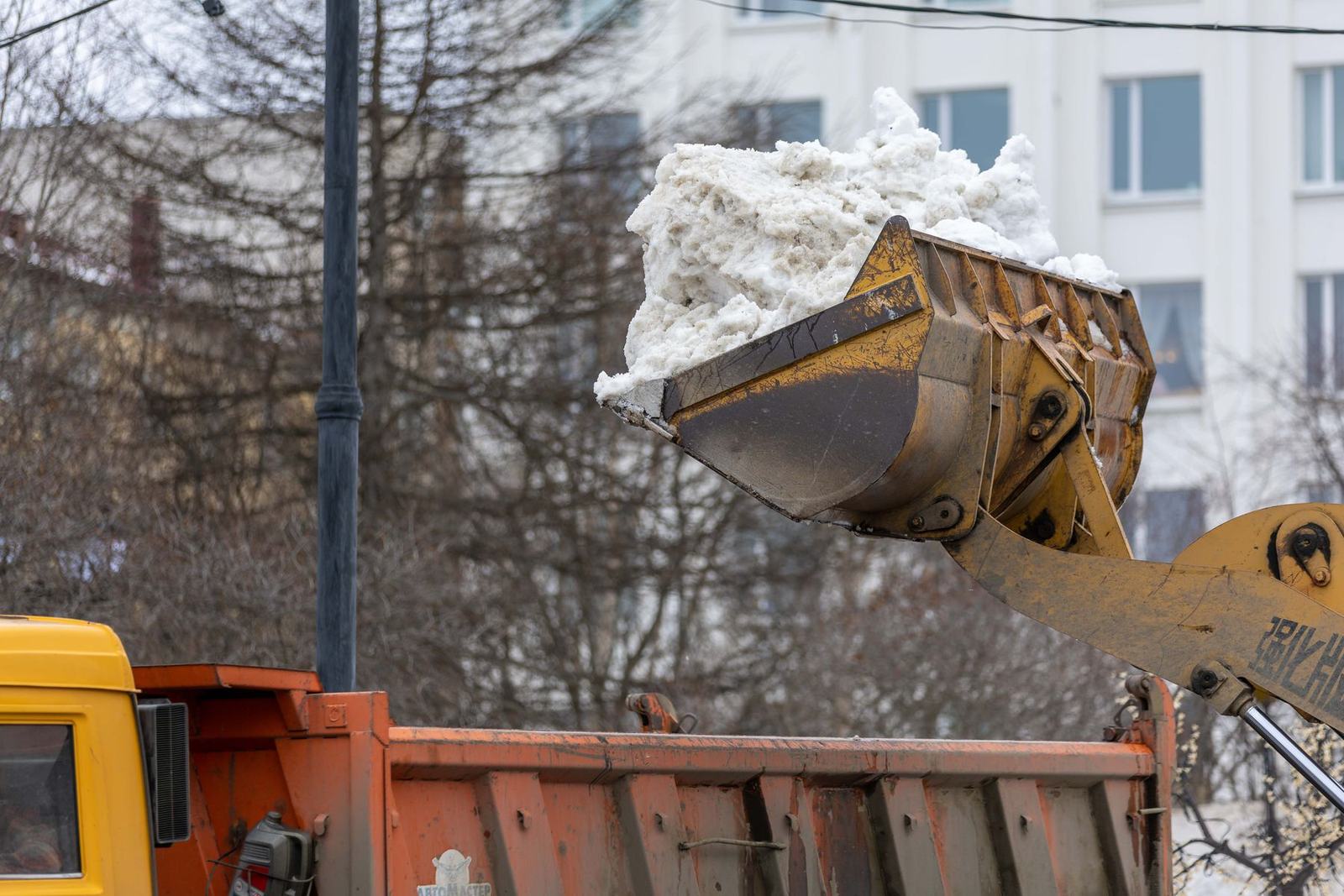 Snow Relocation & Hauling